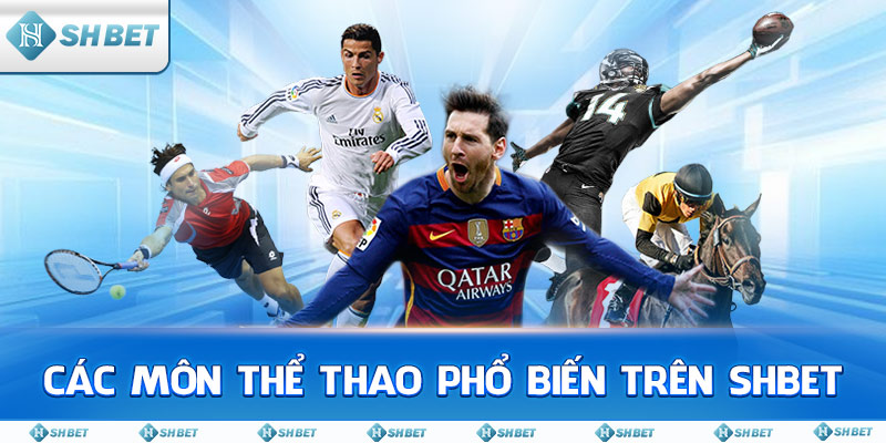 Các môn thể thao phổ biến trên SHBET
