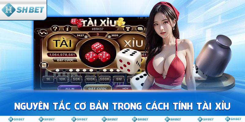 Nguyên Tắc Cơ Bản Trong Cách Tính Tài Xỉu