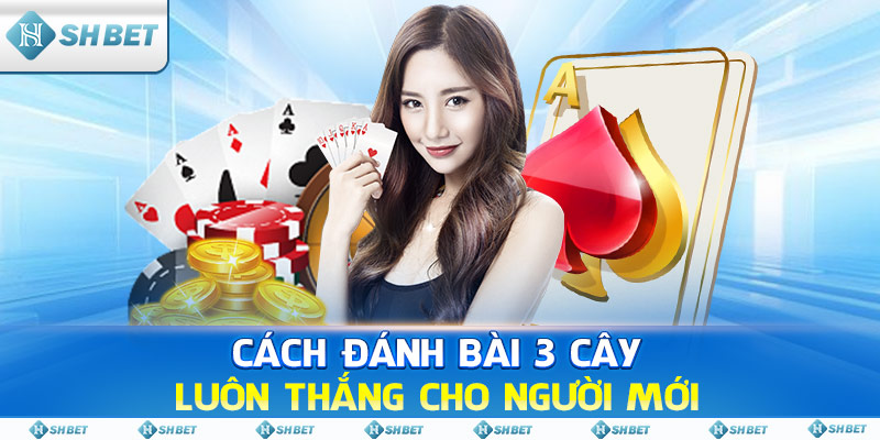 Cách Đánh Bài 3 Cây luôn thắng cho người mới